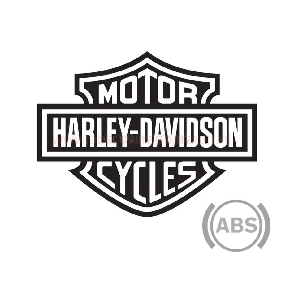 Harley-Davidson ABS modulator reparatie