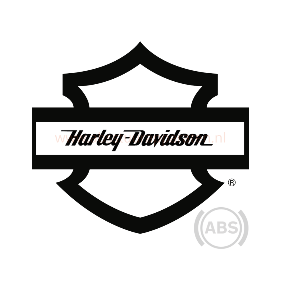 Harley-Davidson ABS pomp reparatie – stotterend remmen?&nbsp;